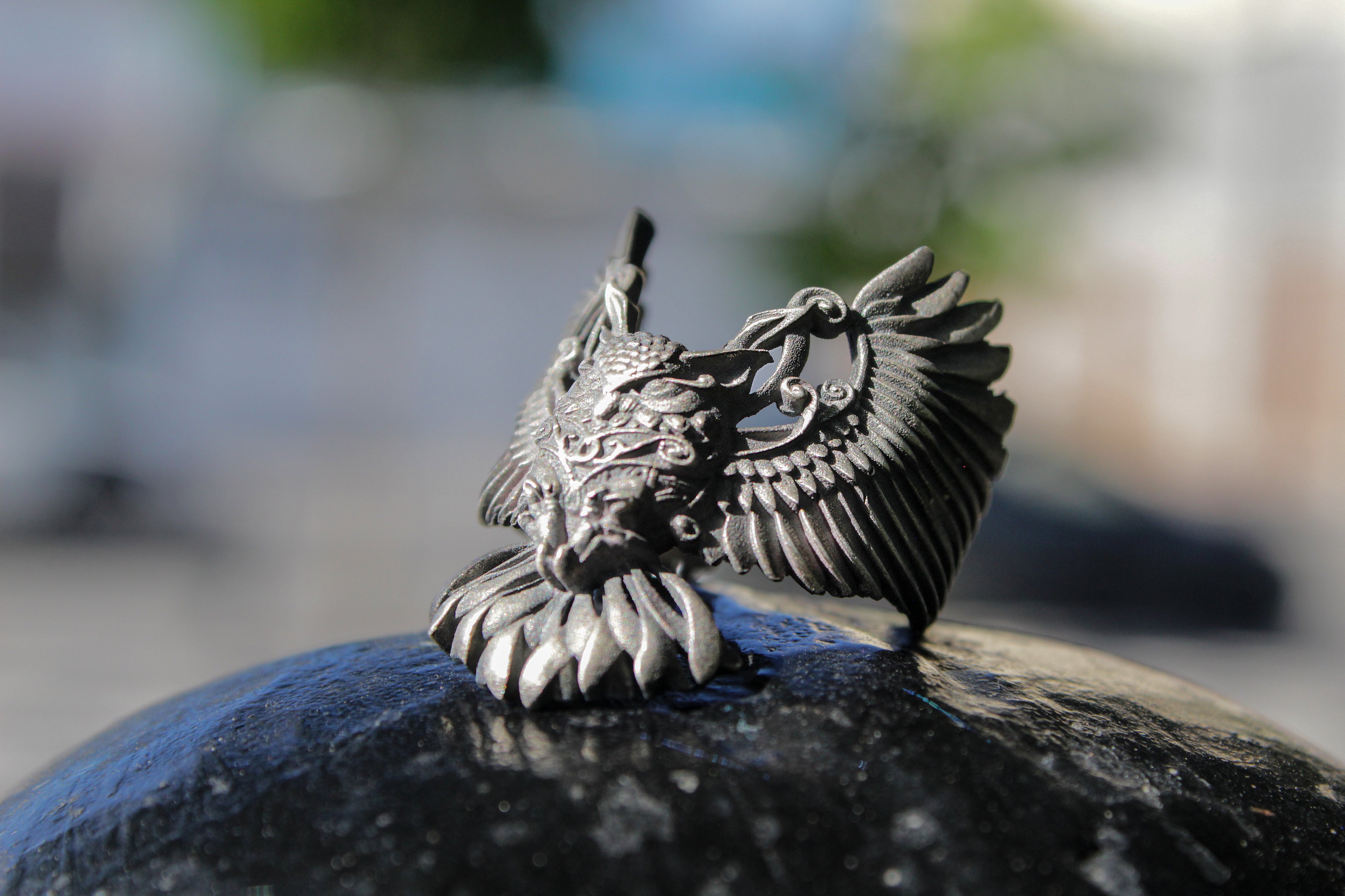 Anillo El Despliegue