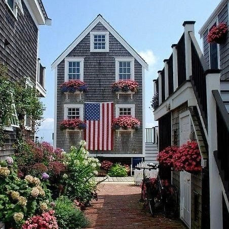 Brazalete Cota de Águila