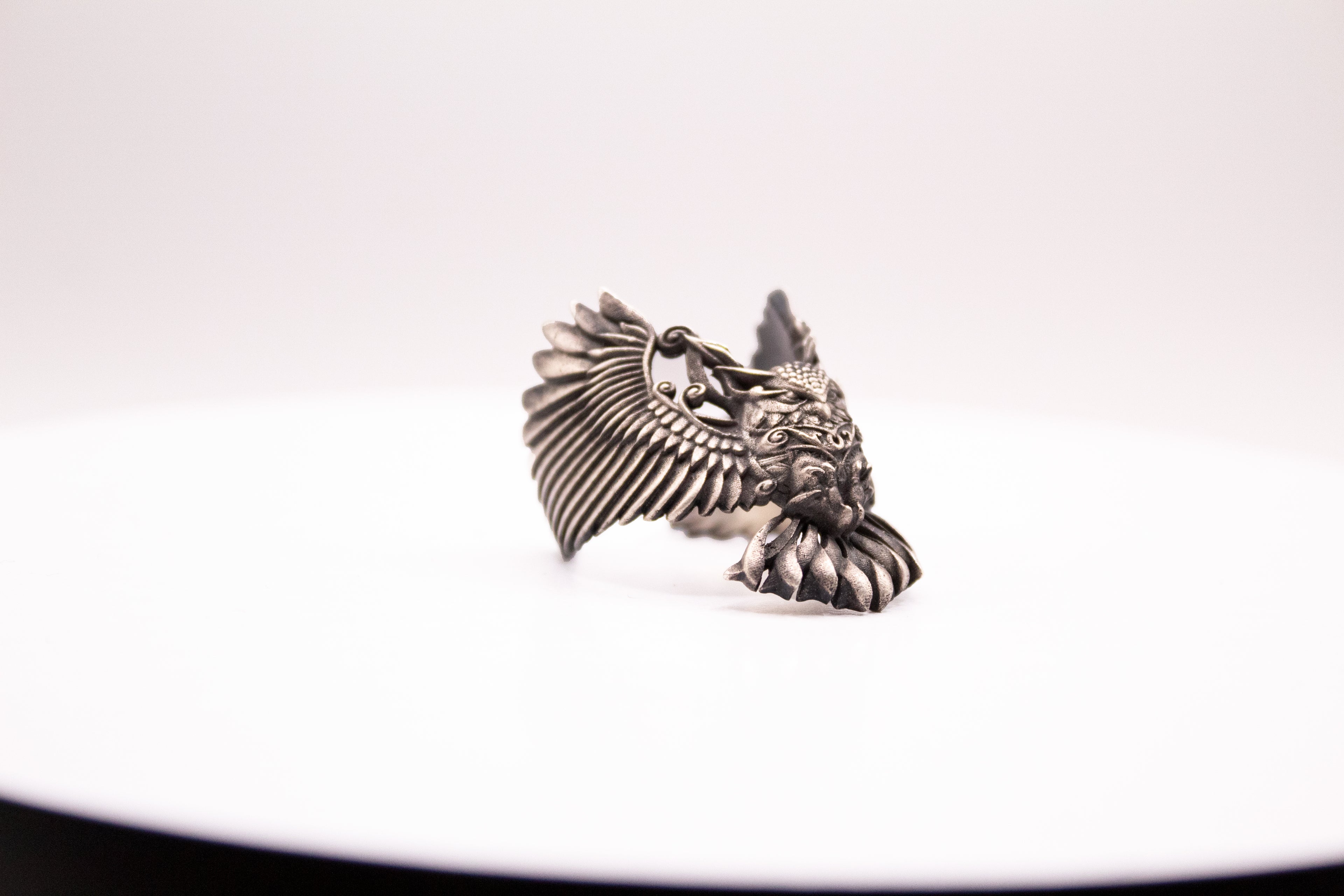 Anillo El Despliegue